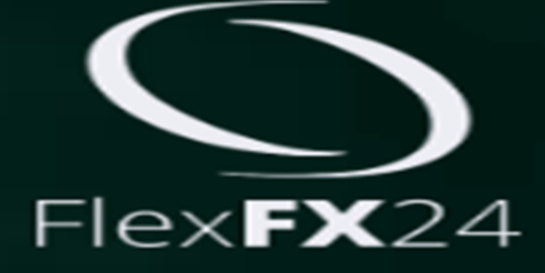 FlexFx24 логотип
