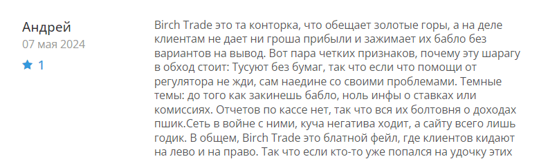 Birch Trade отзыв
