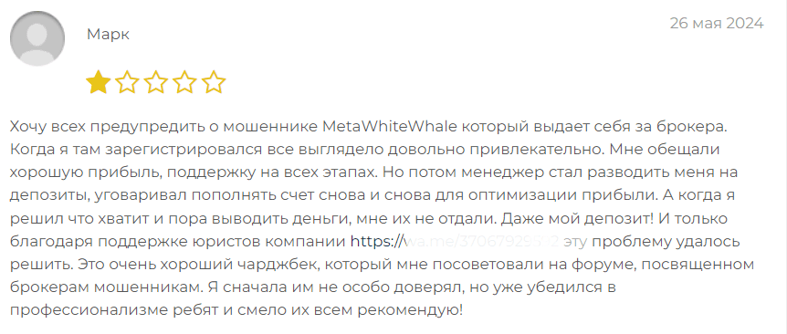 MetaWhiteWhale отзыв