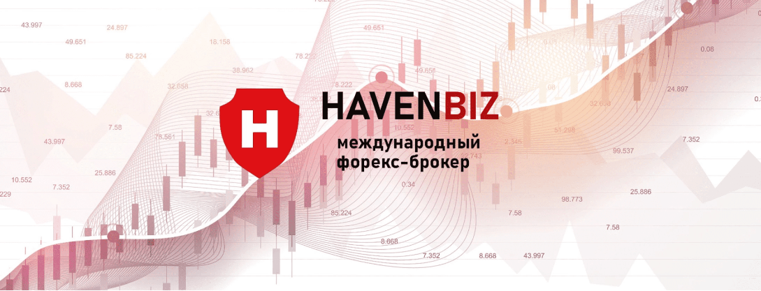 HavenBiz обзор