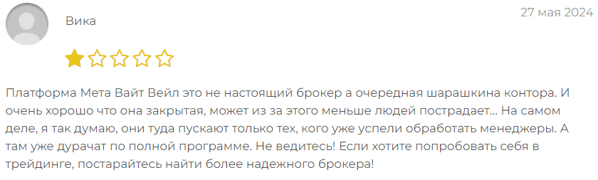 MetaWhiteWhale отзывы о СКАМе
