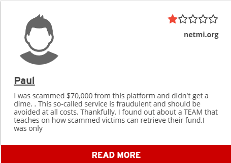 Netmi Limited анализ