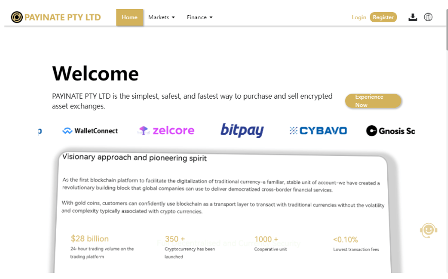 Payinate обзор