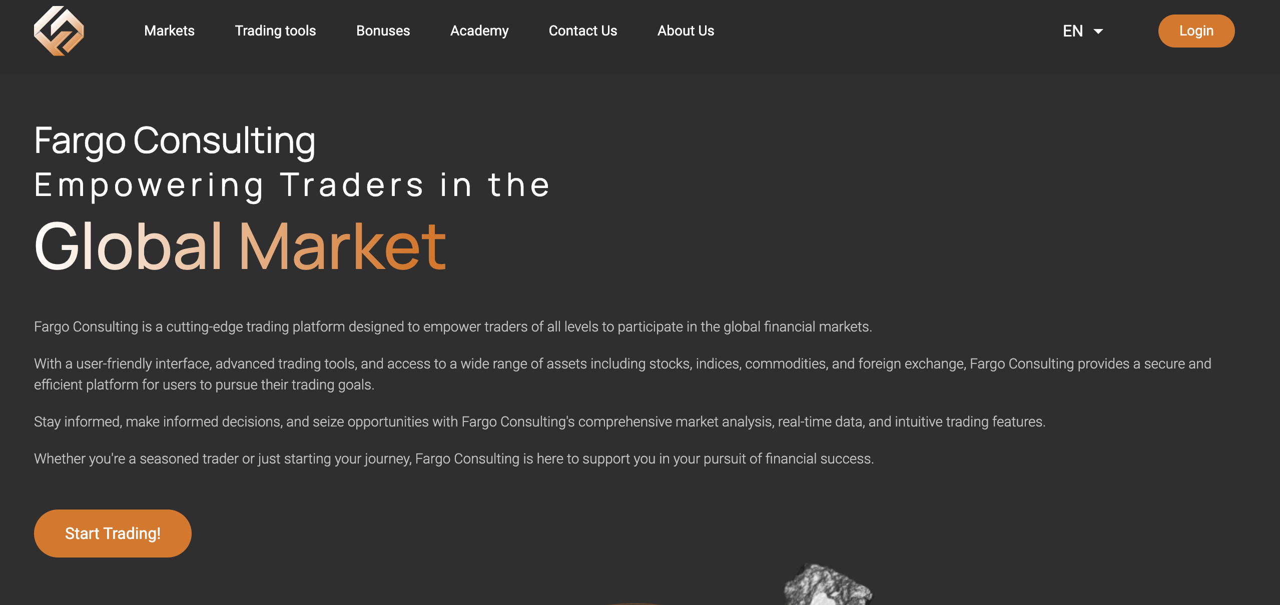 Fargo Consulting обзор