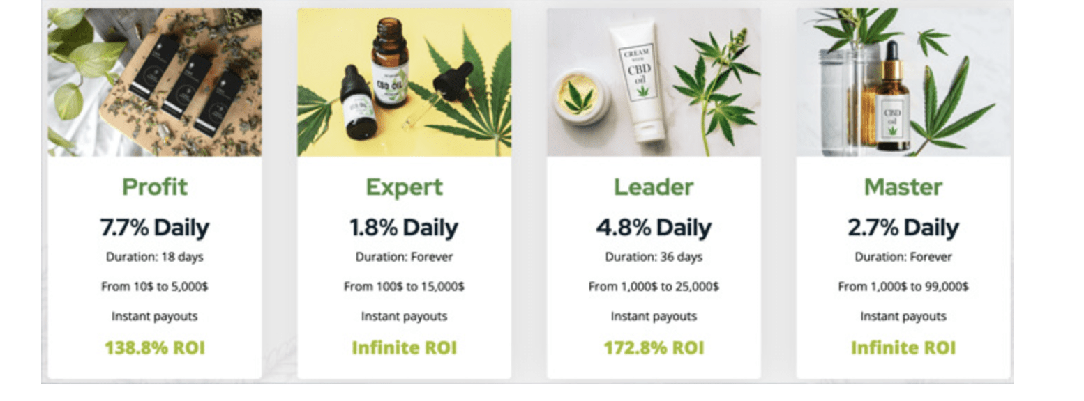 обзор CBD Investments