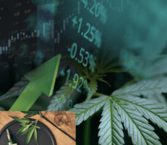 📊 CBD Investments отзывы — обзор инвестиционной компании с признаками СКАМа | TrustViper 📊 CBD Investments отзывы — обзор инвестиционной компании с признаками СКАМа | TrustViper : https://trust-viper.com
