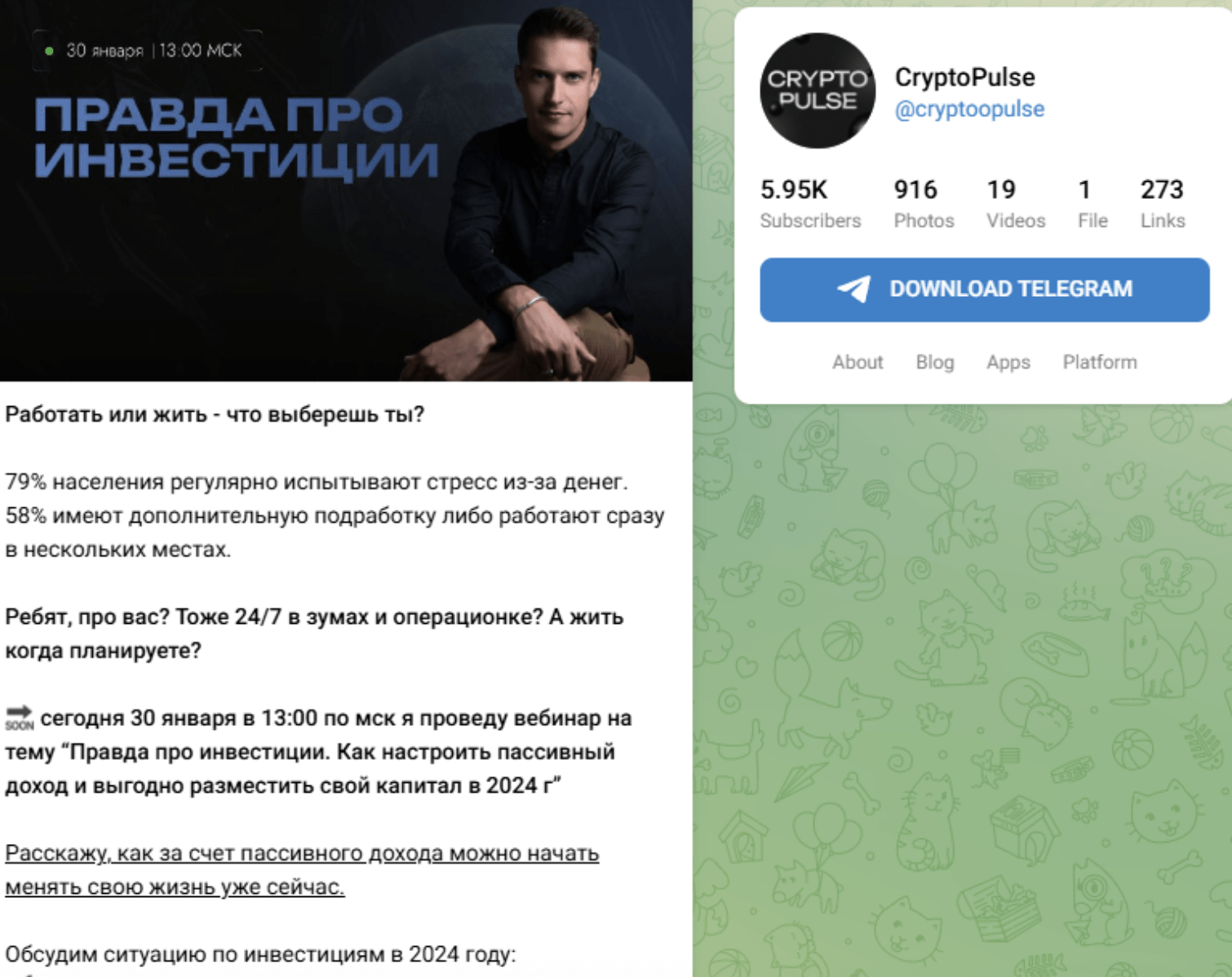 CryptoPulse Invest обзор