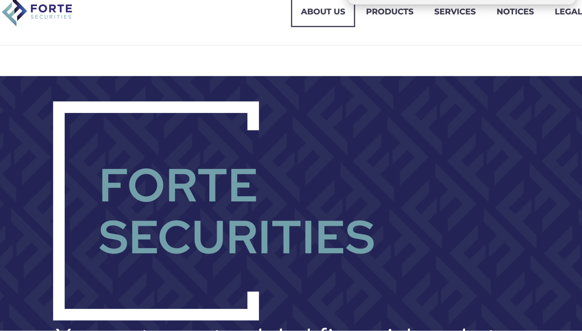 Forte Securities обзор