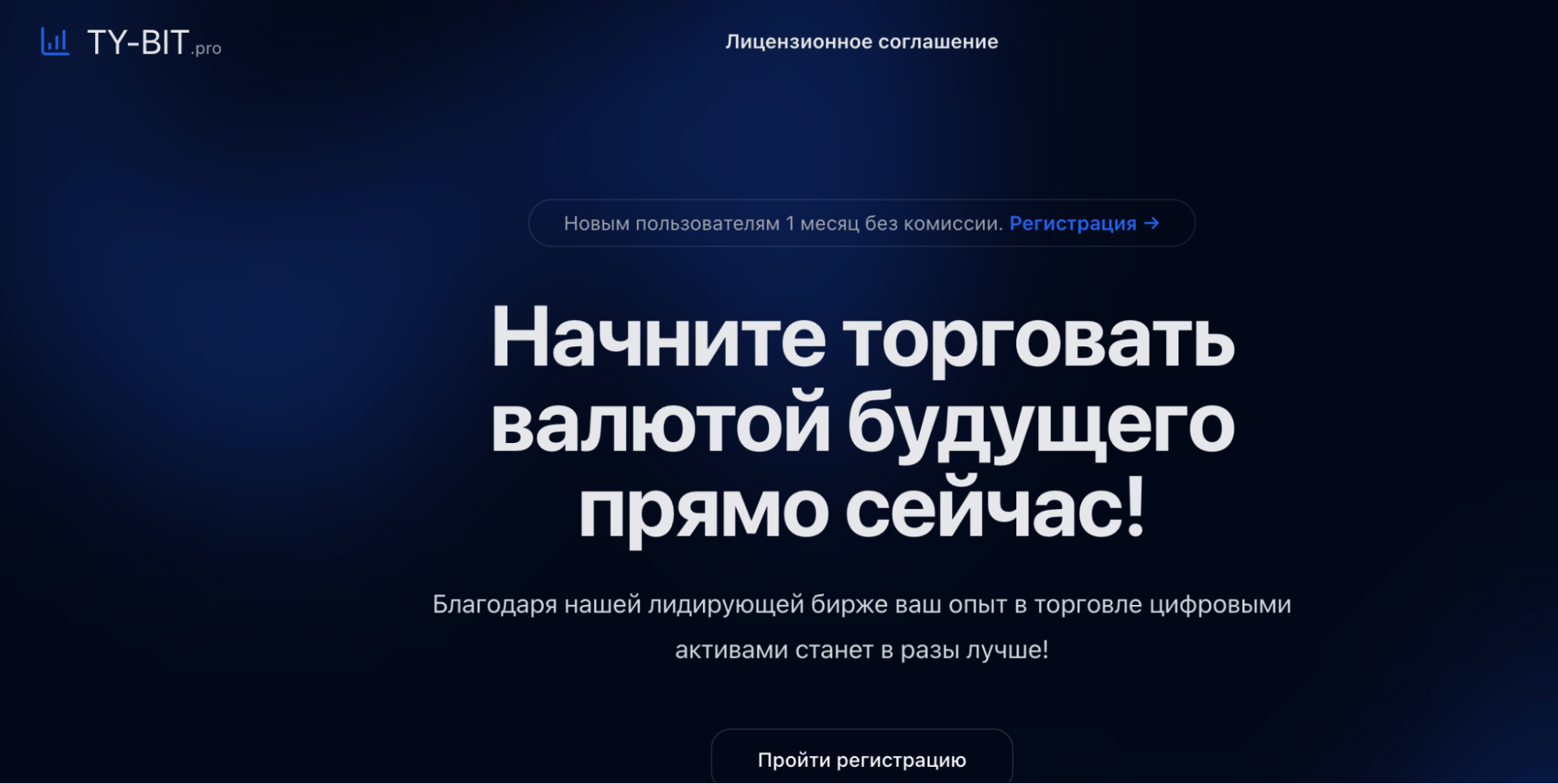 главная страница Ty-Bit Pro