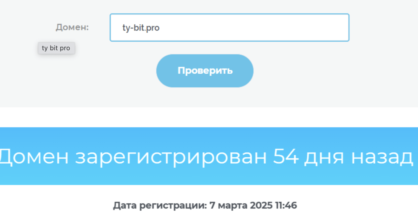 регистрация домена Ty-Bit Pro