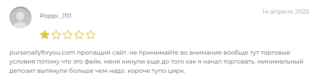 комментарий Pursenallyforyou