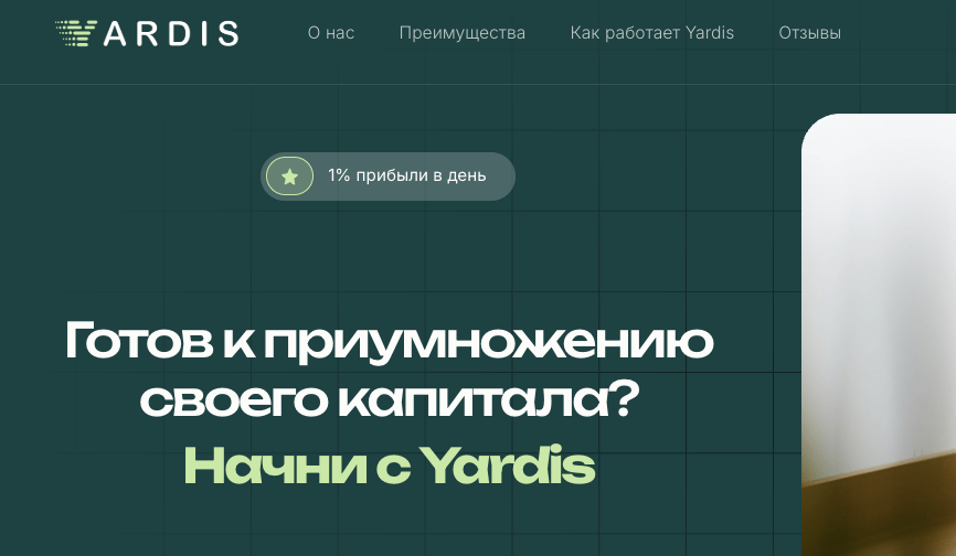 обзор на Yardis