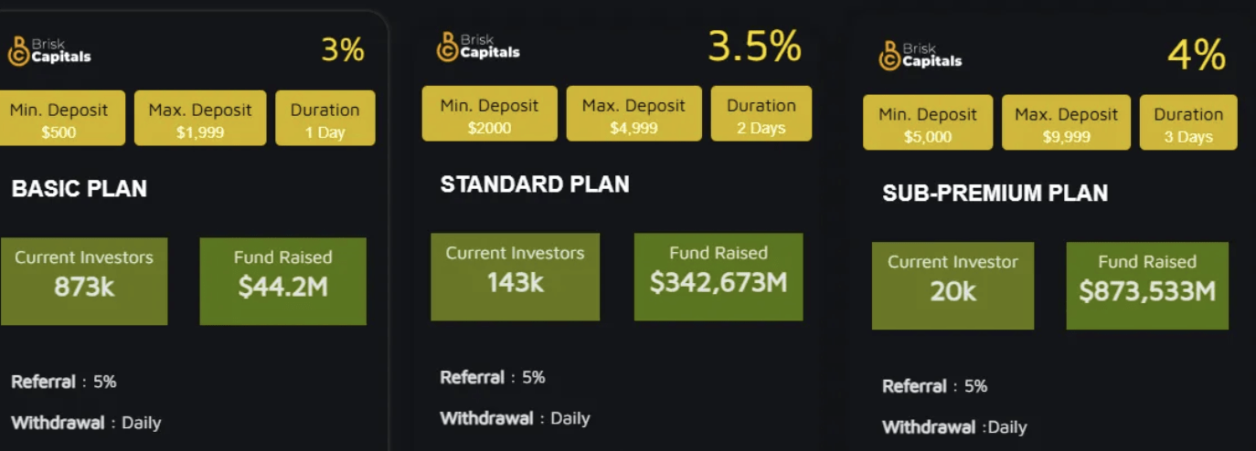 инфо сайта Brickscapitals