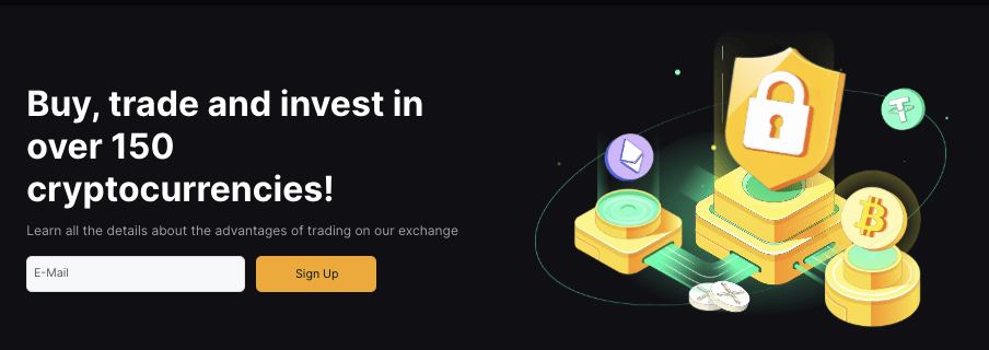 обзор биржи Saflychange