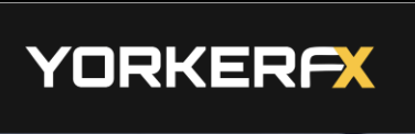 Yorker Capital Markets (Yorker FX) — обзор проекта. Отзывы клиентов : https://trust-viper.com
