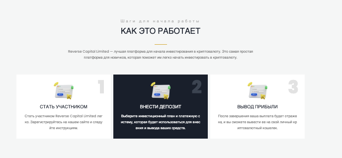 что известно? Reverse Capital Limited