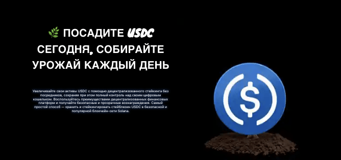 обзор Solanajito