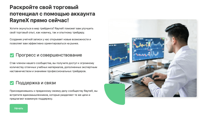 информация о RayneX