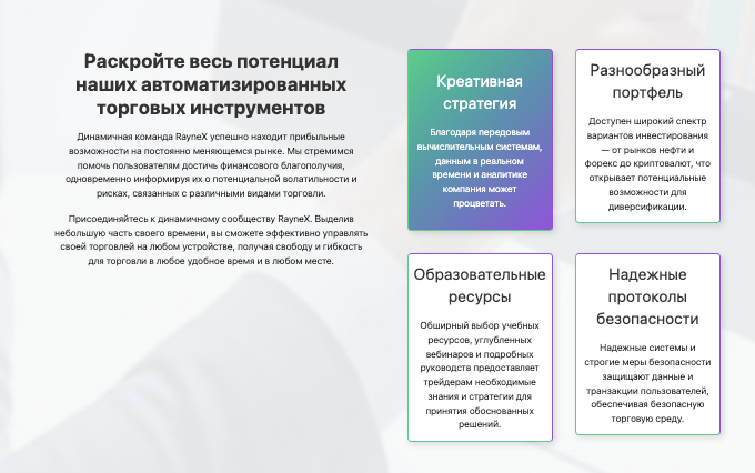 что известно? RayneX
