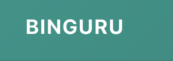 лого BinGuru