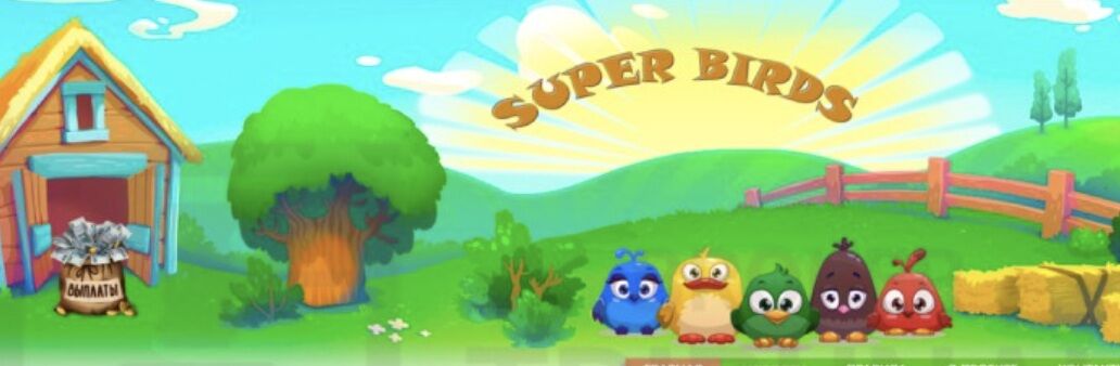 обзор Super Birds