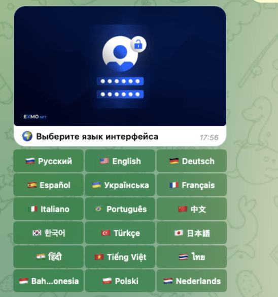 обзор на EXMO NFT