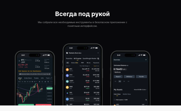 инфо о DigBit