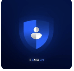 лого EXMO NFT