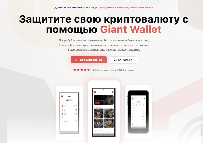 обзор на Giant Wallet