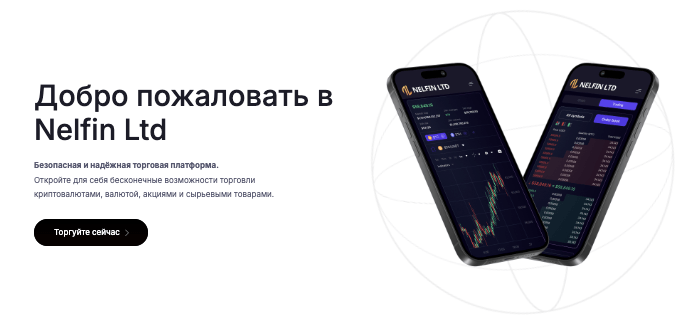 обзор Nelfin Ltd