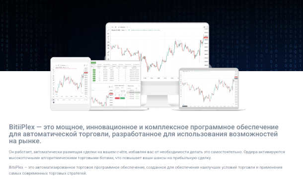 проверка BitiiPlex