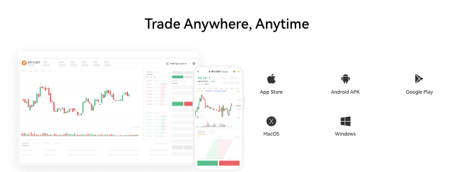 информация о COINESA