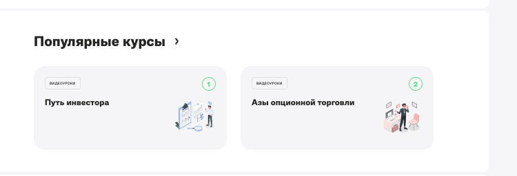 что известно? Freedom Academy