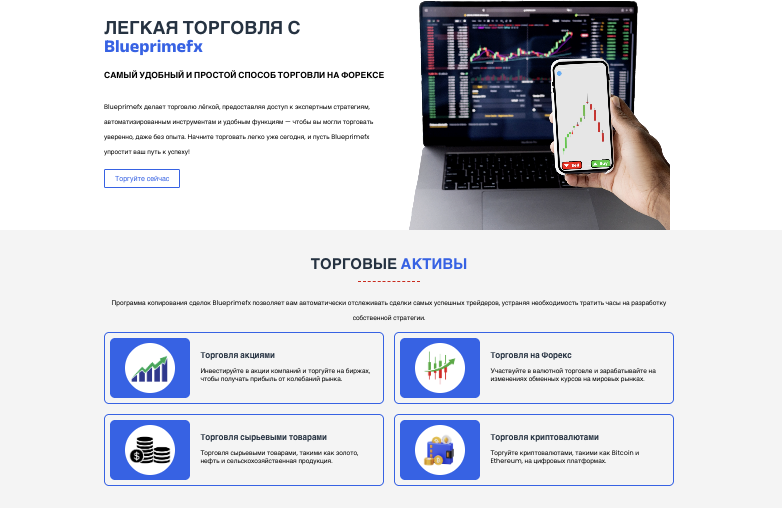 инфо о платформе Blueprimefx