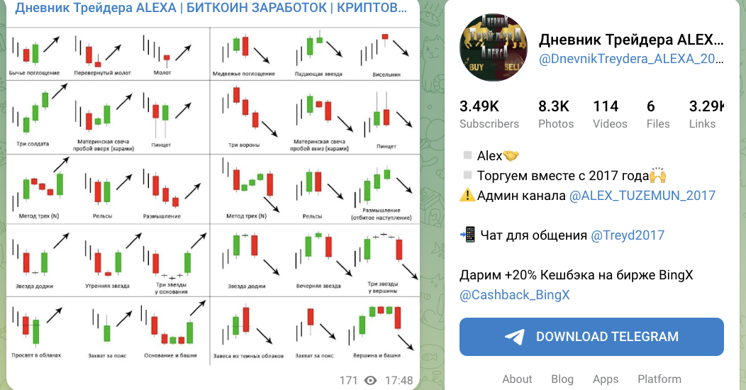обзор Дневник Трейдера ALEXA