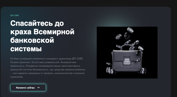 информация о QFS CORE