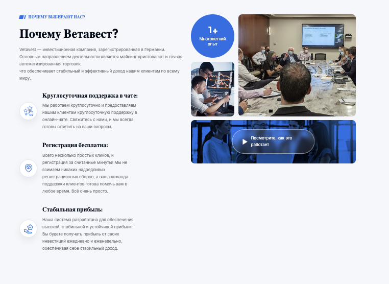 обзор сайта VetaVest