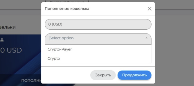 обзор на Dashpanel Zone