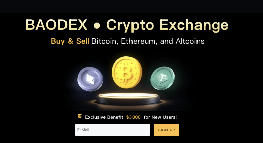 обзор на BAODEX